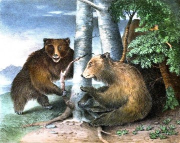 Bear Grizzly bea Oil Paintings